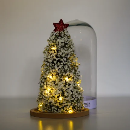 Fairy Lights